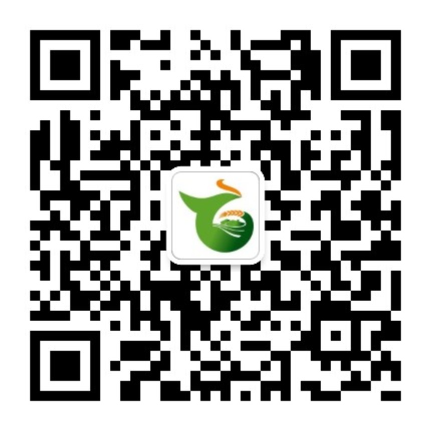 台州粮商园网上粮店正式上线运营